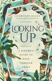 Cover von Looking Up