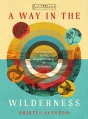 Cover von A Way in the Wilderness