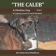 Cover von 'The Caleb'