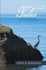 Cover von Between the Tides