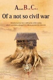 Cover von Amanda Brook Celar'S of a Not so Civil War