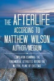Cover von The Afterlife According to Matthew Wilson Author/Medium