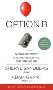Cover von Option B