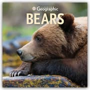 Cover von Bears/Bären 2027