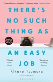 Cover von There's No Such Thing as an Easy Job