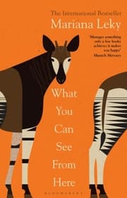 Cover von What You Can See From Here