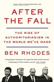 Cover von After the Fall
