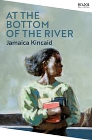 Cover von At the Bottom of the River