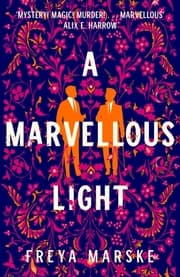 Cover von A Marvellous Light