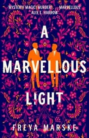 Cover von A Marvellous Light