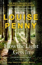 Cover von How the Light Gets In