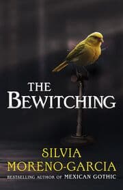 Cover von The Bewitching