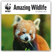 Cover von WWF Amazing Wildlife 2024