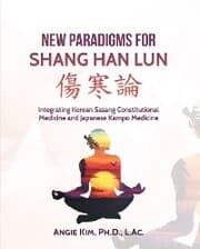 Cover von New Paradigms for Shang Han Lun