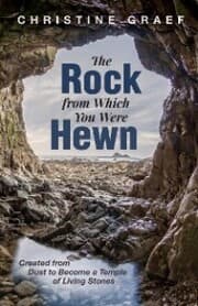 Cover von The Rock from Which You Were Hewn