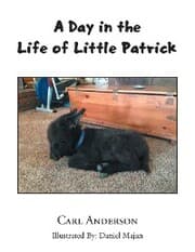 Cover von A Day in the Life of Little Patrick