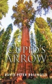 Cover von Cupid's Arrow
