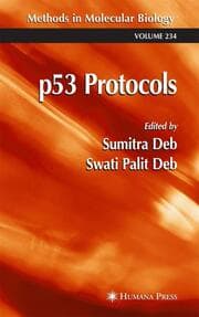 Cover von p53 Protocols