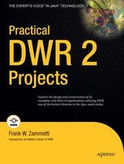 Cover von Practical DWR 2 Projects