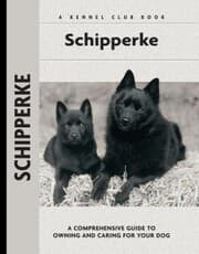 Cover von Schipperke