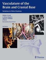 Cover von Vasculature of the Brain and Cranial Base