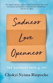 Cover von Sadness, Love, Openness