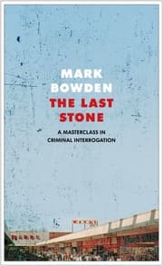 Cover von The Last Stone