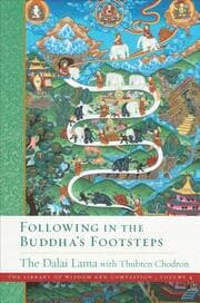 Cover von Following in the Buddha's Footsteps