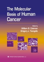 Cover von The Molecular Basis of Human Cancer