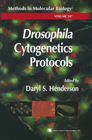 Cover von Drosophila Cytogenetics Protocols
