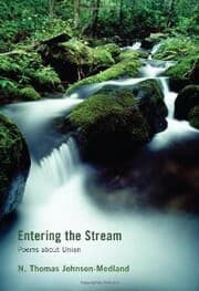 Cover von Entering the Stream