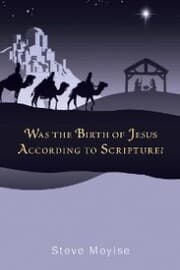 Cover von Was the Birth of Jesus According to Scripture?