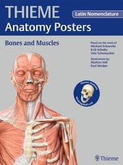 Cover von THIEME Anatomy Posters Bones and Muscles, Latin Nomeclature