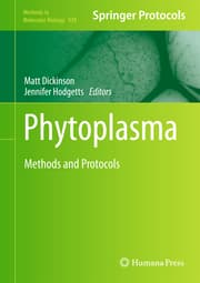 Cover von Phytoplasma