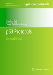 Cover von p53 Protocols