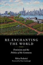 Cover von Re-enchanting the World