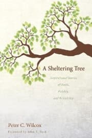 Cover von A Sheltering Tree