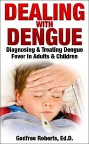 Cover von Dealing with Dengue: Diagnosing, Treating, and Recovering from Dengue Fever
