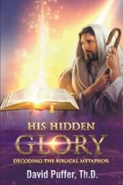 Cover von His Hidden Glory