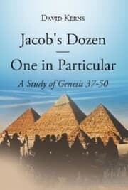 Cover von Jacob's Dozen One in Particular