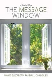 Cover von The Message Window