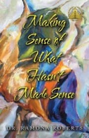 Cover von Making Sense of What Hasn't Made Sense
