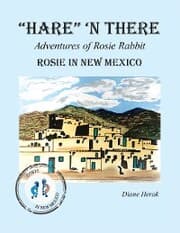 Cover von 'Hare' 'n There Adventures of Rosie Rabbit
