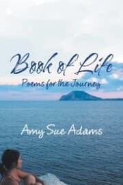 Cover von Book of Life
