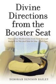 Cover von Divine Directions from the Booster Seat
