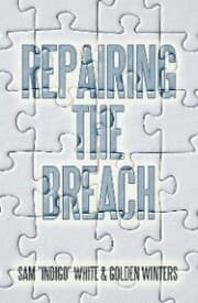 Cover von Repairing the Breach