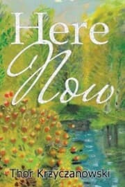 Cover von Here Now