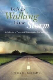 Cover von Let's Go Walking in the Storm