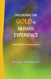 Cover von Discerning the Gold in Human Experience