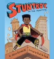 Cover von Stuntboy, in the Meantime